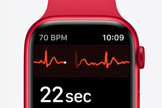Đồng hồ Apple Watch Series 8 thống kê điện tâm đồ